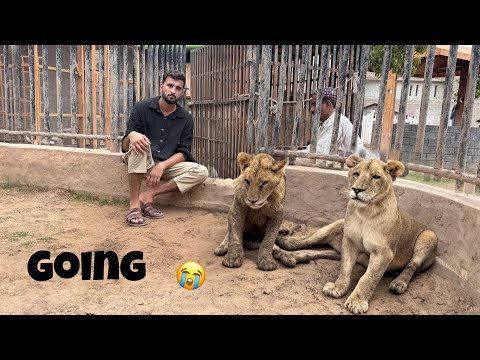 Liger Or Lara Ja Rhy Hain 🥲