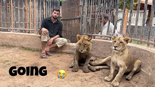 Liger Or Lara Ja Rhy Hain 🥲