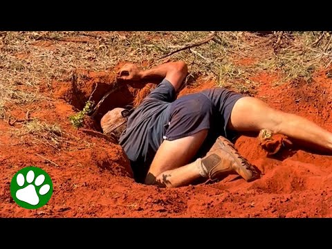 Hero farmer hears cries for help and jumps into hole in the ground