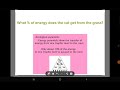 Energy Transfer in Food Chains