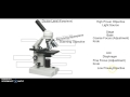 Microscope Parts and Functions