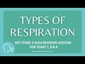 Anaerobic and Aerobic Respiration Concepts