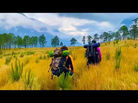 Dong Valley | Anjaw District | Arunachal Pradesh
