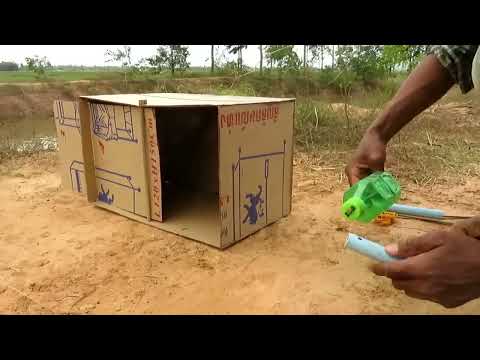 Easy Bird Trap - Simple DIY Creative Bird Trap make from water bottle N Cardboard That Work 100%
