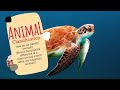 Exploring Animal Classifications and Their Unique Traits