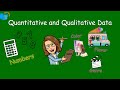 Types of Data: Qualitative vs Quantitative
