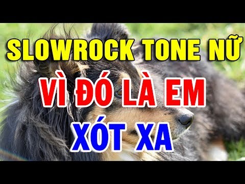 Karaoke Liên Khúc Slowrock TONE NỮ Dễ Hát Nhất 2020 | Nhạc Sống Lk Vì Đó Là Em – Xót Xa | Trọng Hiếu