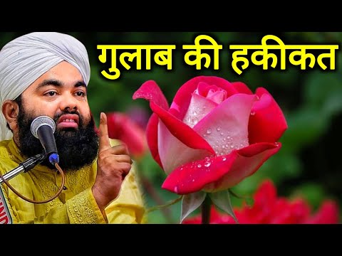 Gulab Ka phool | Rose 🌹 | Sayyed Aminul Qadri New Bayan