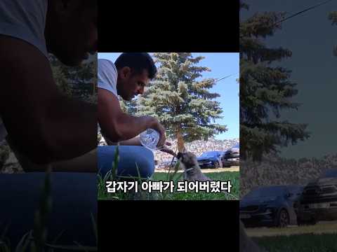 갑자기 아빠가 되어버렸다