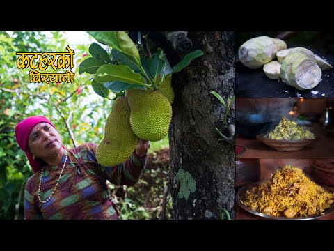 तपाईले यस्तो बिरयानी खानु भाकै छैन || Jackfruit Biryani || Kanchhikitchen