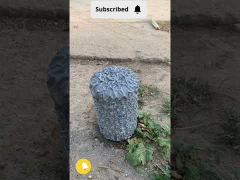 See how tiles are removed from metal #shortsvideo #tools #diy