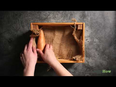 How to Tell if a Sweet Potato Has Gone Bad