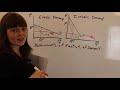 Demand Elasticity and Pricing Strategies