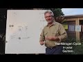 Nitrogen Cycle and Plant Nutrition