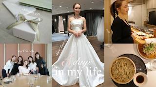 【5日間vlog】友達や家族と過ごす大充実の5日間🤍ドレスフィッティング/自炊/美容院/女子会/デート/ダイエット etc.