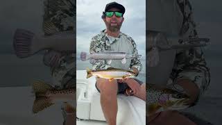 What Is The Best Fish To Catch in USA?