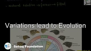 Variations lead to Evolution