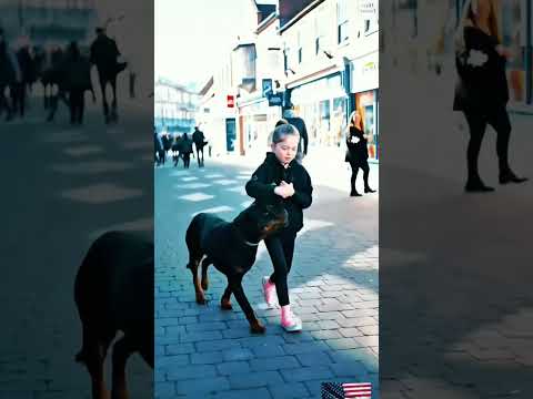 #k9#USA#dogsoftiktok#tactical#dogs#fyp#malions#DogTraining#viral #k9unit#trending#trainingdog #asmr