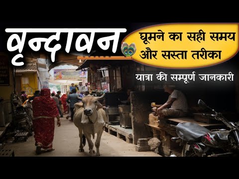 Vrindavan Budget Tour | Vrindavan Complete Tour | How to Explore Vrindavan Full Info By MSVlogger