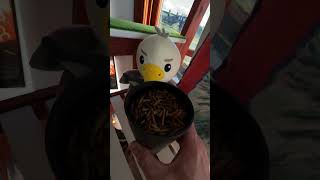 Hora De Alimentar A Mi Pequeño Amigo Descardo...