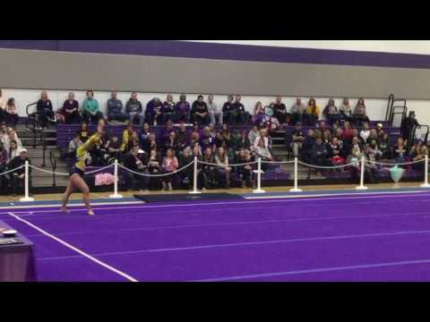 Gymnastics Highlights v. UW-Whitewater 1.28.17