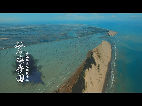 【台江】繁海夢田─台江國家公園簡介影片中文版（3分鐘） - YouTube