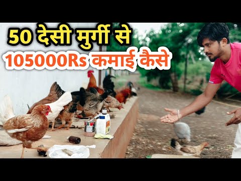 50 Desi Murgi Palan Se 105000Rs Kaise Kamaye🐓💸