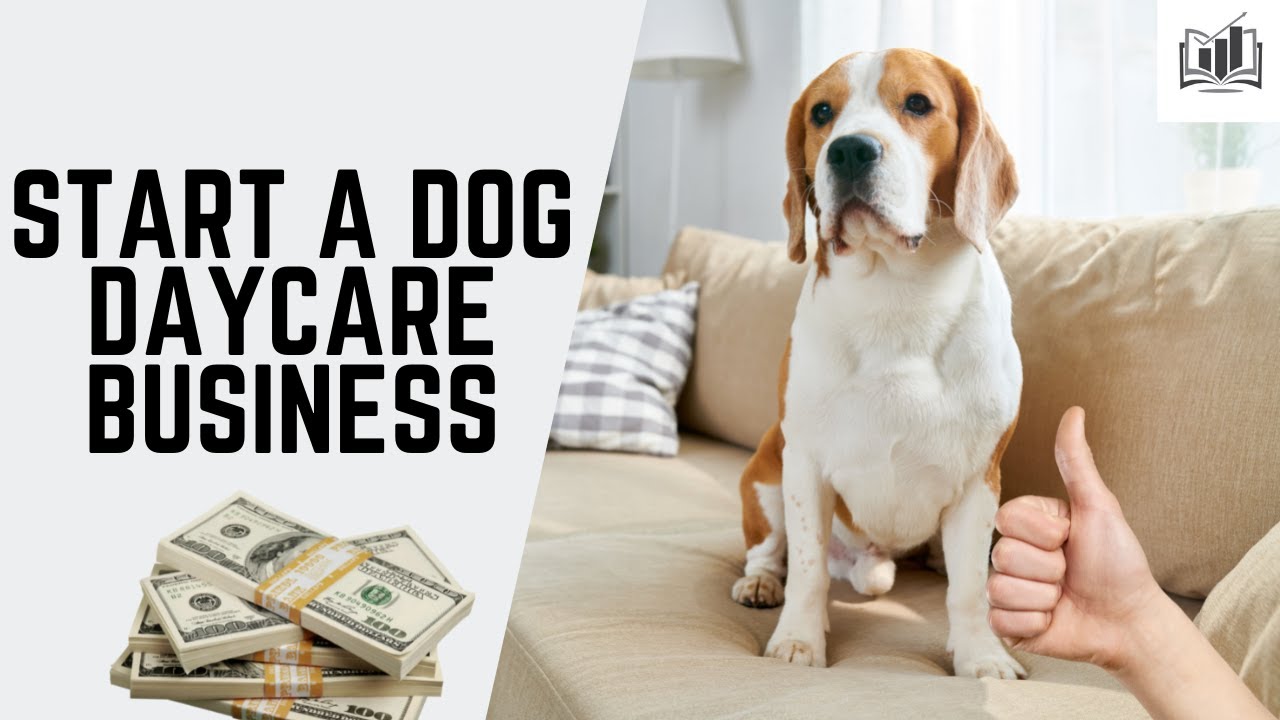 How to Start a Dog Daycare Business: A Comprehensive Guide 2024