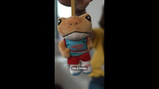 The story behind Bad Bunny's Sapo Concho