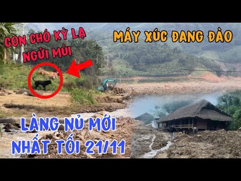 LÀNG NỦ TỐI 21/11 phát Hiện Chú CHÓ KỲ LẠ ngửi Mùi Xong Quanh Vị Trí 7 tìm kiếm nạn nhân