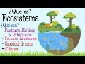 Ecosystem Concepts and Human Impact