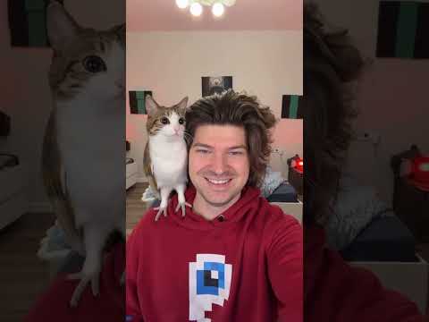 Это видео длится 15 секунд🥰