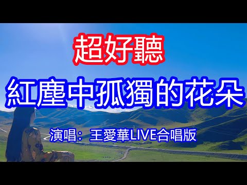 天呀!太好聽了,12月王愛華超火傷感情歌《紅塵中孤獨的花朵》合唱版,獨特的嗓音,單曲循環聽不夠!緣起緣滅花開花又落,為什麼不捨還那麼的難過!唱的撕心裂肺,聽得痛哭流涕!青海風景!傷感情歌!療癒情歌!