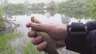 видео