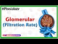 Renal Physiology Concepts Assessment