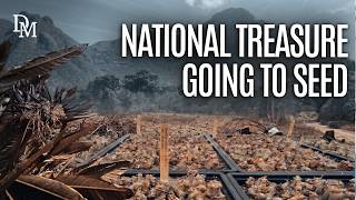 YouTube video thumbnail: Is Kirstenbosch Dying From the Inside? 