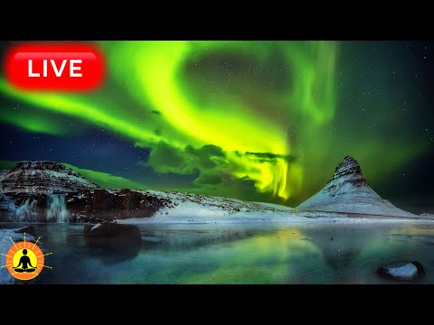 &#128308; Relaxing Music 24/7, Stress Relief Music, Sleep Music, Meditation Music, Study, Calming Music