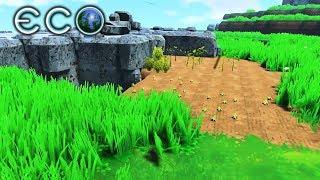 ECO #03 - Du und Dein Garten