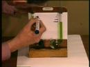 Osmosis and Its Effects on Cells