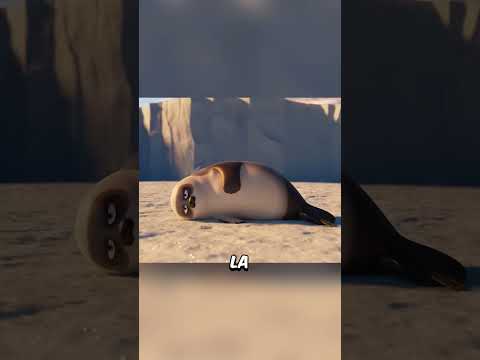 Es la foca más linda que hayas visto jamás ❤️