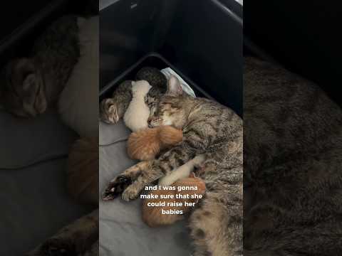 Start of a beautiful journey in her life.