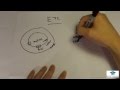 Cellular Metabolism Concepts