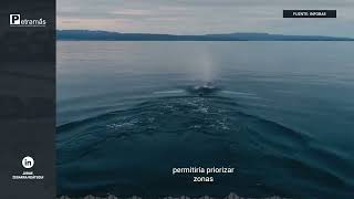 Jorge Zegarra Reátegui alerta sobre innovadora medición del impacto climático en corales