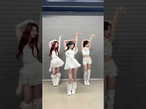 IS:SUE bring all the crowd to the yard ๐#SHINING_Wใใณใน @ Zepp Fukuokaใใใใจใใใใใพใใ๏ผ#ISSUE #shorts