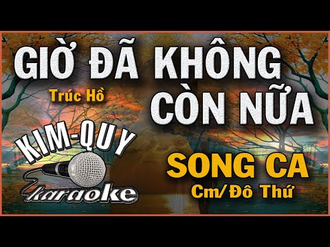 KARAOKE GIỜ ĐÃ KHÔNG CÒN NỮA – SONG CA ( Cm/Đô Thứ )