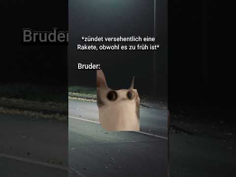 POV: Es ist Silvester🎉 #katzenvideos #lustig #shorts #katzen #katze #silvester #feuerwerk