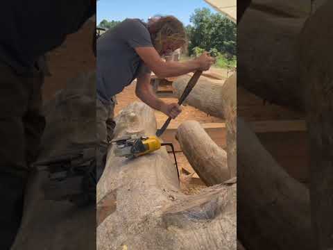 Our dream log home build #woodworking #homestead #construction #loghome #homesteading #loghomebuild