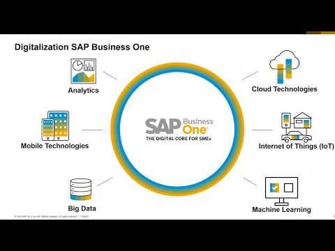 Digitální transformace se SAP Business One