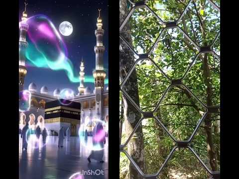 #mohmmadﷺ #beautiful #youtubeshorts #shortvideo 💚🌹dil k dhadkne ka matlab kya 🌹💚