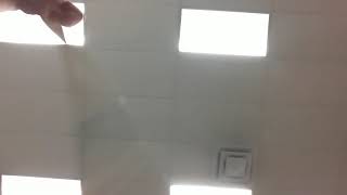 Ams fight song